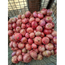 Onions medium size 50KG RS 1750